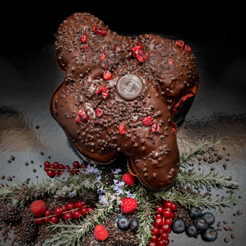 Colomba Imperiale con la medaglia d'oro al Campionato Nazionale 2023 riconosciuta (IGP)